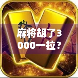麻将胡了3000一拉？别让小赌怡情变成大祸临门！