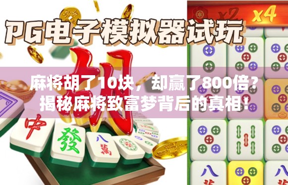 麻将胡了10块,却赢了800倍?揭秘麻将致富梦背后的真相! 麻将胡了10块,却赢了800倍?揭秘麻将致富梦背后的真相!