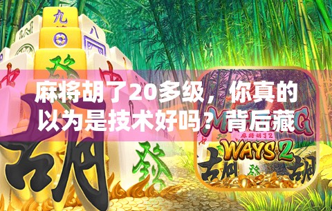 麻将胡了20多级，你真的以为是技术好吗？背后藏着的氪金真相！