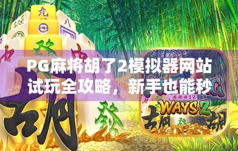 PG麻将胡了2模拟器网站试玩全攻略，新手也能秒变高手？